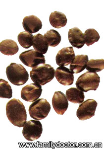 SemenZiziphispinosae/ Semen Ziziphi spinosae 